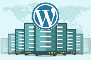 5 советов, как выбрать качественный хостинг под WordPress