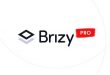 Brizy Pro v2.3.21 NULLED - конструктор страниц WordPress