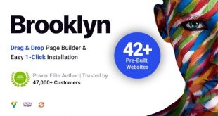 Brooklyn v4.9.7.2 NULLED - творческая многоцелевая тема WordPress