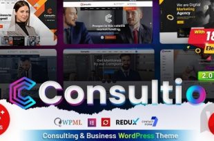 Consultio v2.7.0 - корпоративный консалтинг WordPress тема