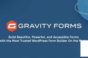 Gravity Forms v2.5.15 NULLED - создание форм на сайте WordPress