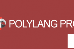 Polylang Pro v3.1.3 - плагин перевода WordPress