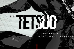 Tetsuo v1.5 - портфолио и тема творческой индустрии WP